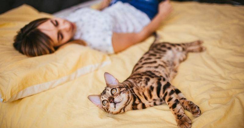 Freepik/freepic.diller