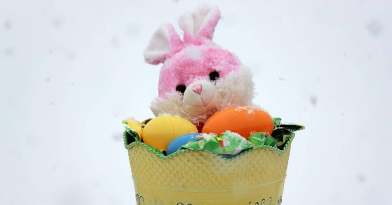 Unsplash/Seri Hooley