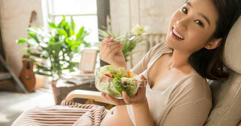 focusedcollection.com