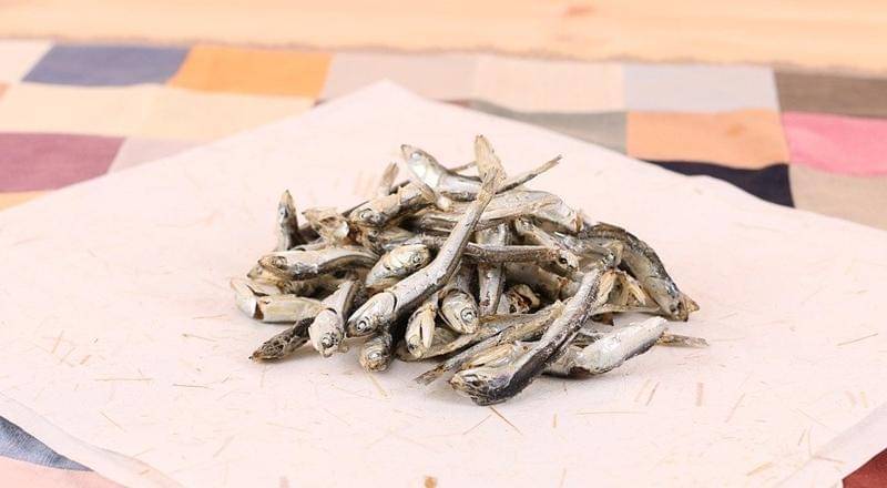 pixabay.com/asjjuni0