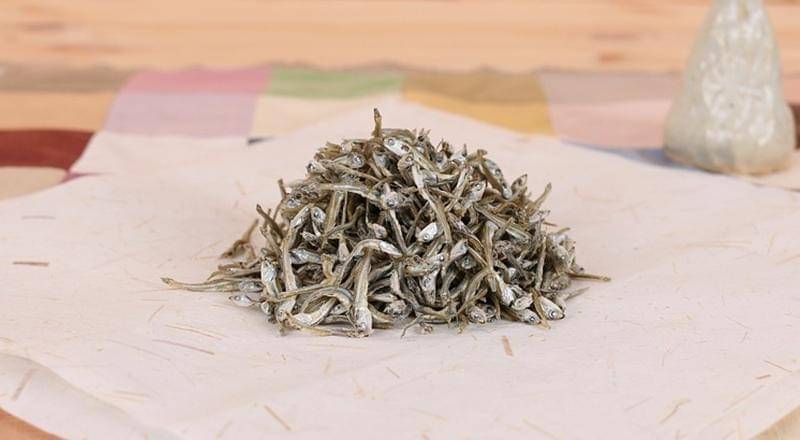 pixabay.com/asjjuni0