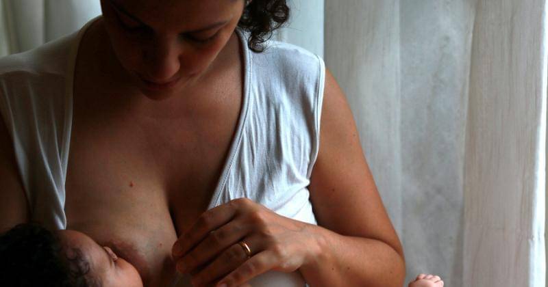 Unsplash/Luiza Braun