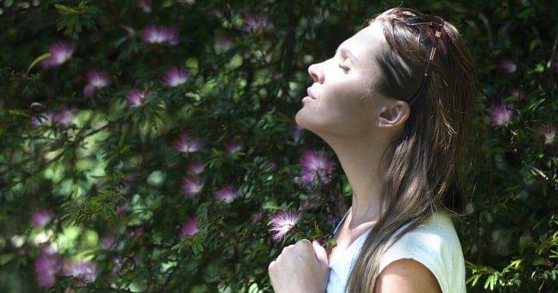 Pexels/VisionPic.net