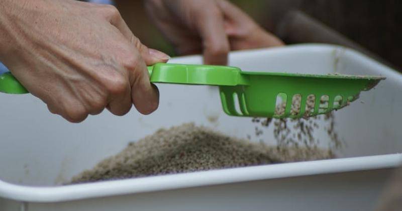 Pexel/Chatchawarn Loetsupan