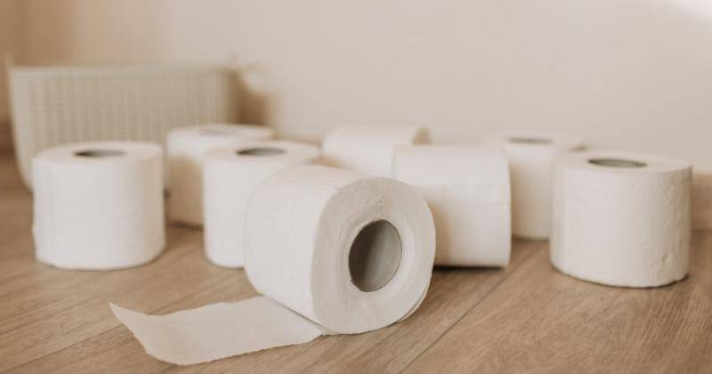 Pexels/Vlada Karpovich