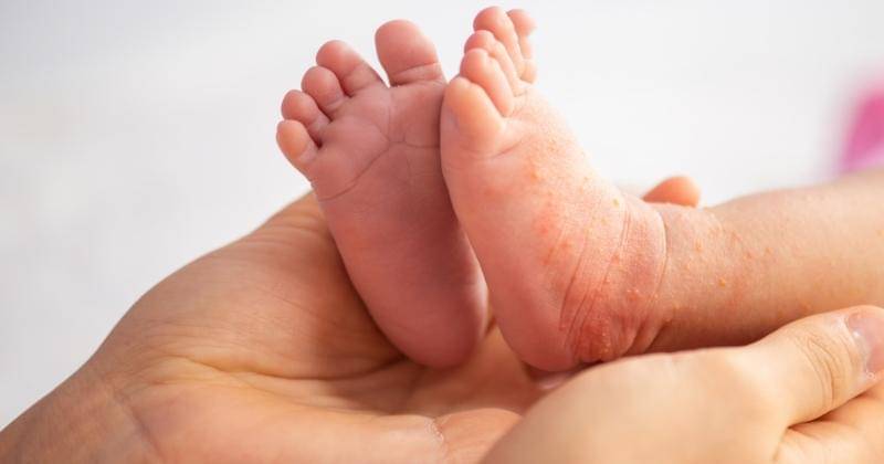 Shutterstock/Pazargic Liviu