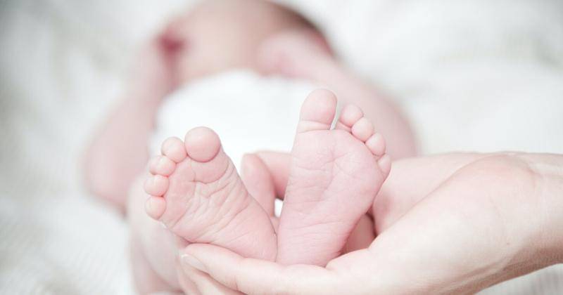 Pexels/Rene Asmussen