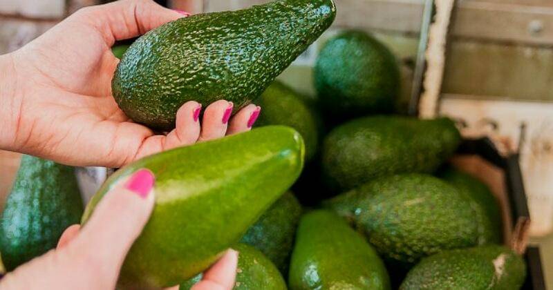 Freepik/Dragana_Gordic