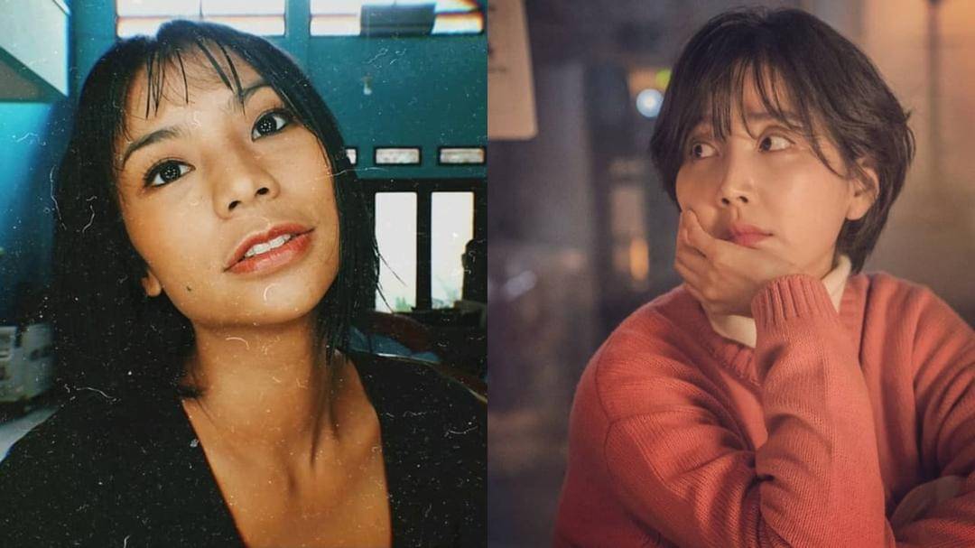 Instagram.com/shareefadaanish/starhausm