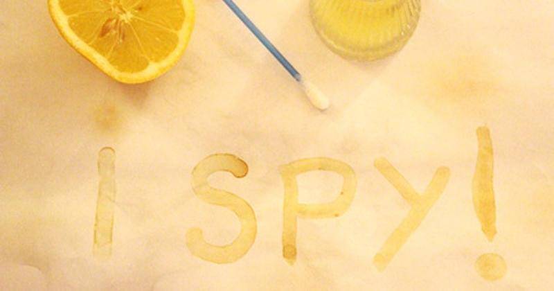 scienceforkiddos.wordpress.com