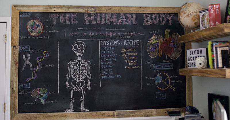 thisgatherednest.com