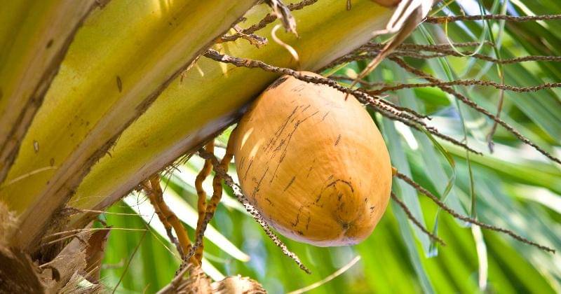 stockvault.net/linno1234