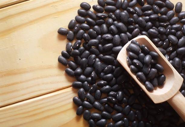 Shutterstock/Gayvoronskaya_Yana