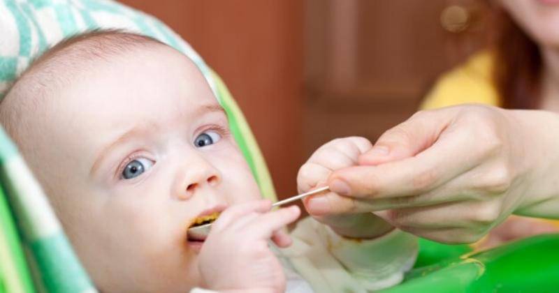 freepik.com/bearfotos