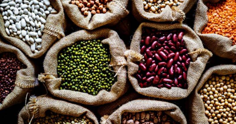 freepik.com/rawpixel.com