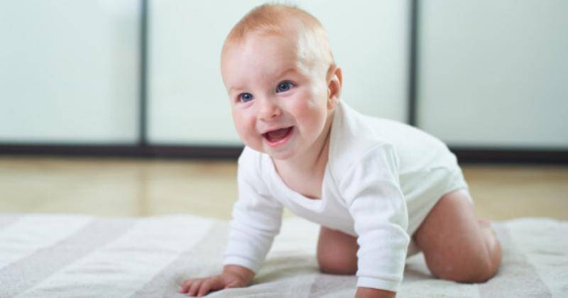 freepik.com/photoikigai