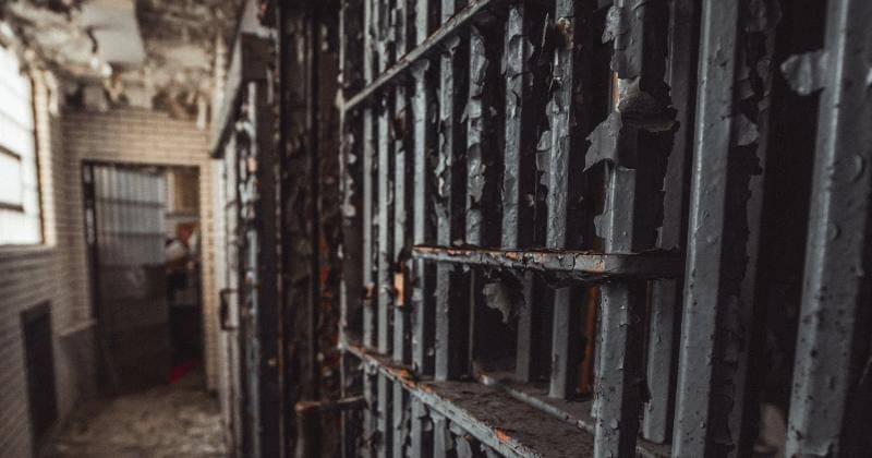 Pexels/Cameron Casey