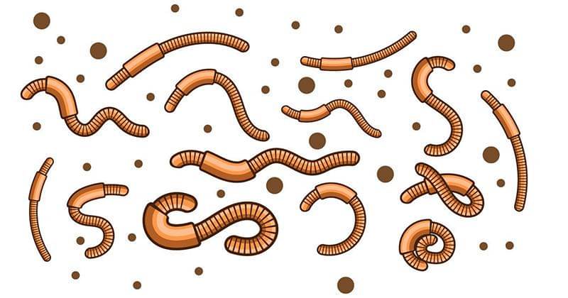 Pinterest/Vecteezy.com