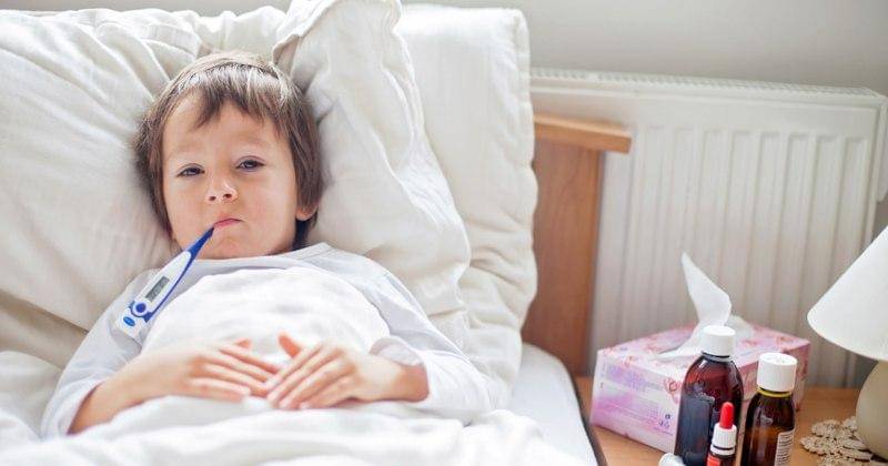 Shutterstock/Tomsickova Tatyana