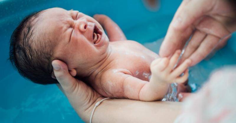 freepik.com/316pixel