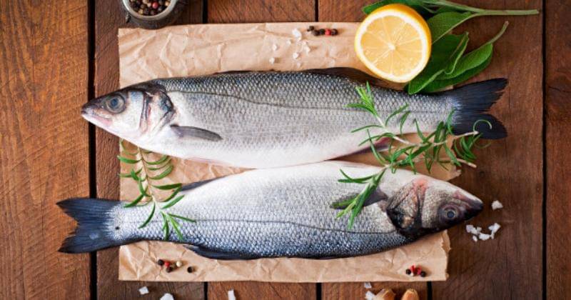 freepik.com/timolina