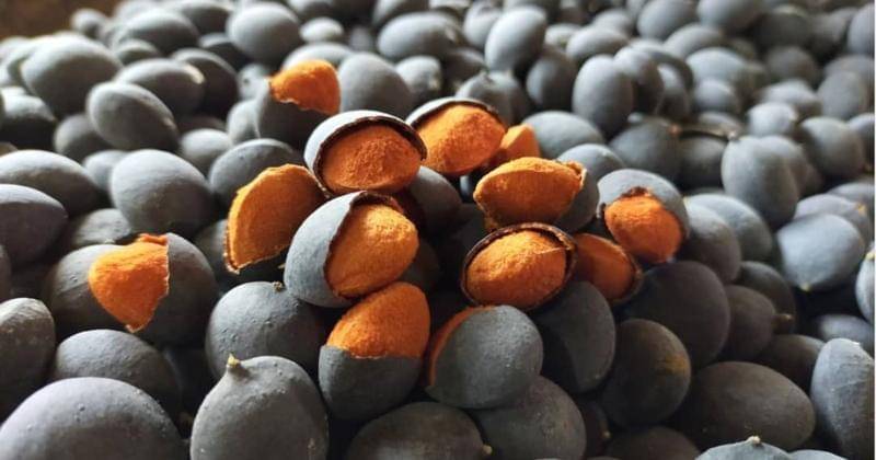 Instagram/baduymursid