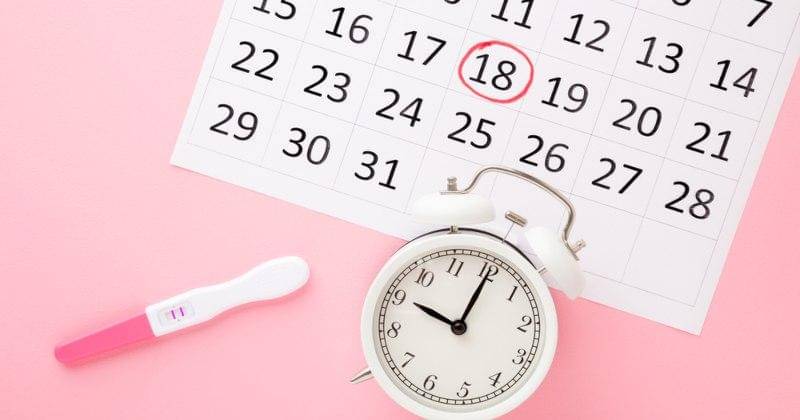 Shutterstock/FotoDuets