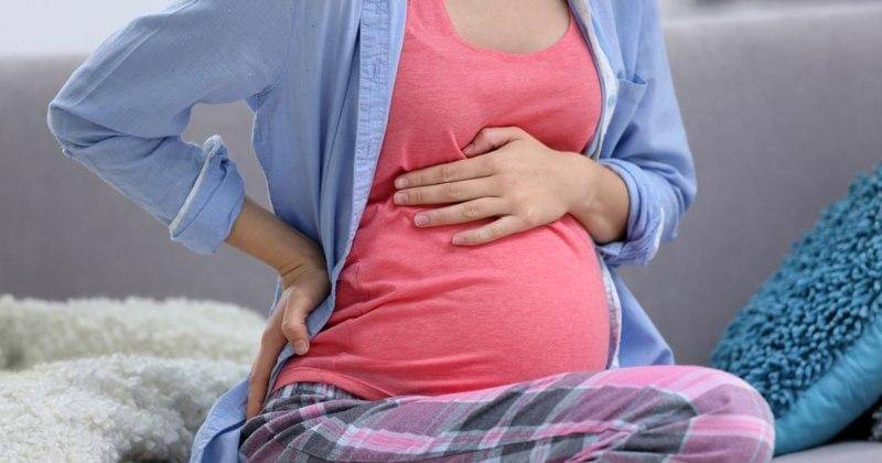 Shutterstock/Africa Studio