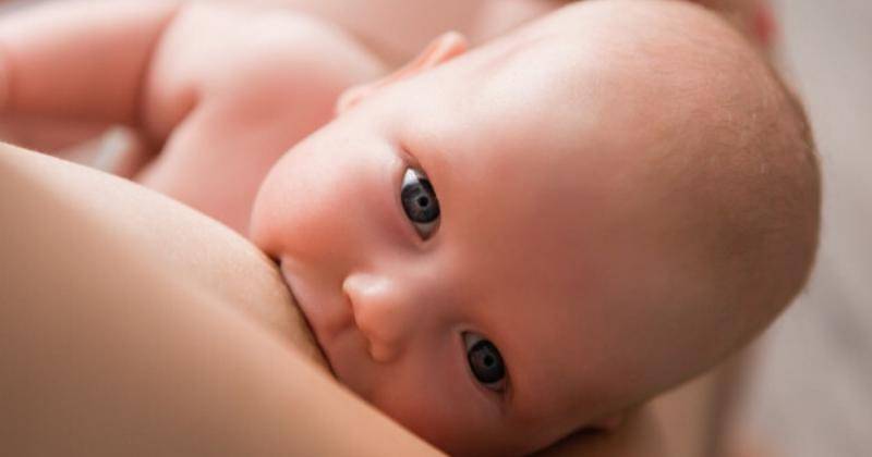 freepik.com/kristina_igumnova