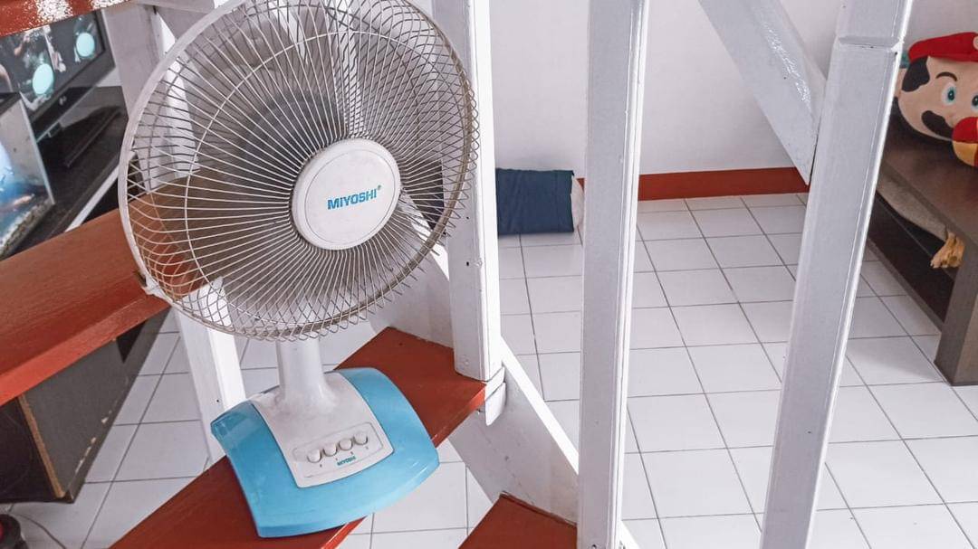 Popmama.com/Novy Agrina