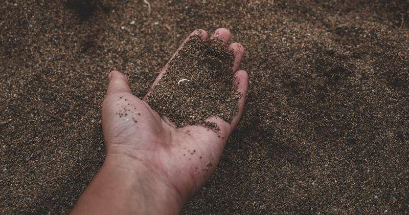 Menyiapkan media tanam Kailan - Pexels/Kenneth Carpina