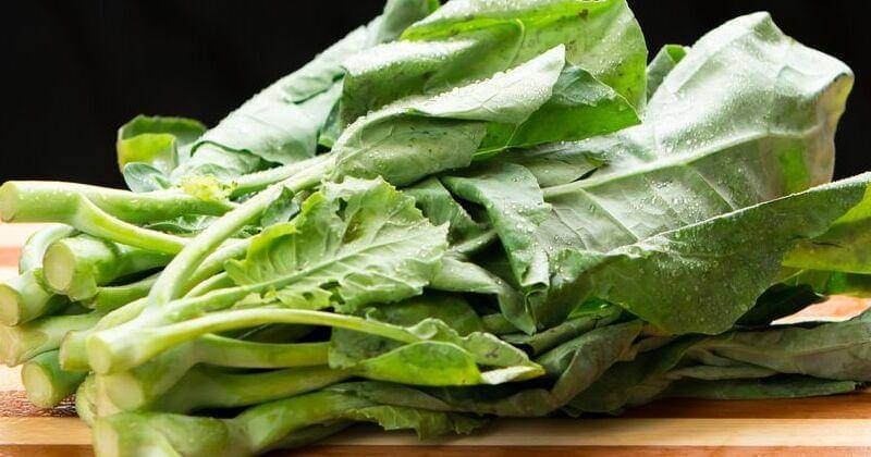 Cara mudah menanam Kailan di rumah - mnn.com/Kailan