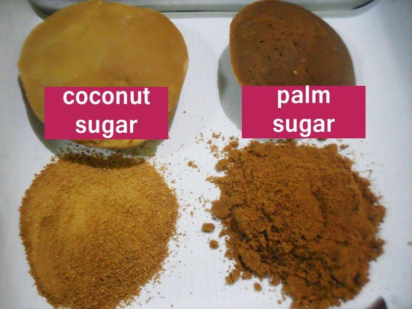 organiccoconutpalmsugar.com