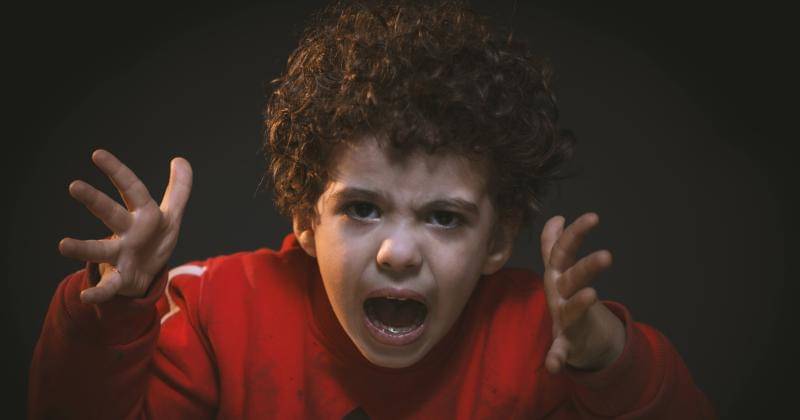 Pexels/Mohamed Abdelghaffar