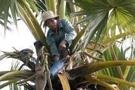 buahpisangeki.blogspot.com