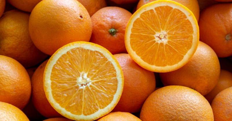 freepik.com/pablesku