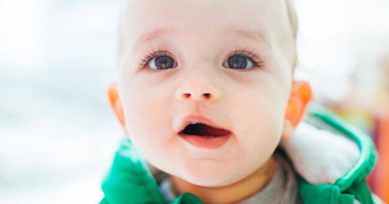 freepik.com/freepic.diller