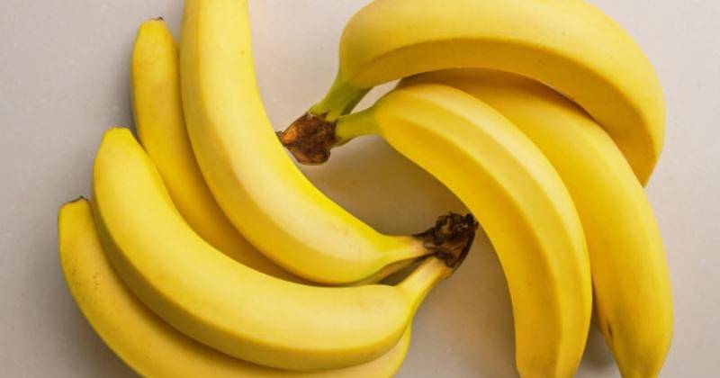 freepik.com/008melisa