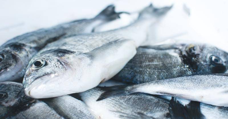 Unsplash/Jakub Kapusnak