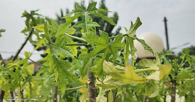 This article supported by vivo as Official Journalist Smartphone Partner IDN Media - Popmama.com/Fx Dimas