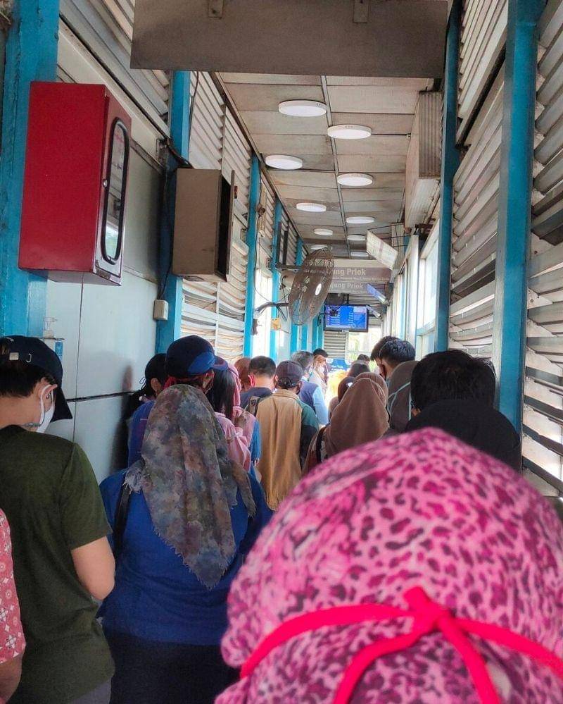 Twitter/ameliariz0214