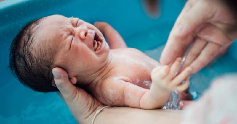 freepik.com/316pixel