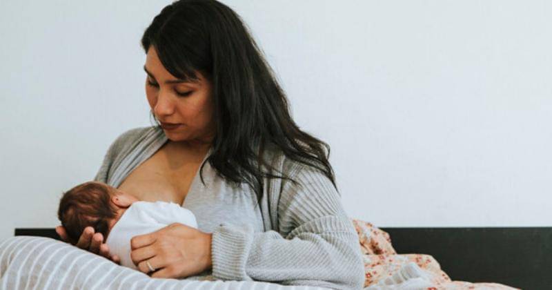 freepik.com/rawpixel.com