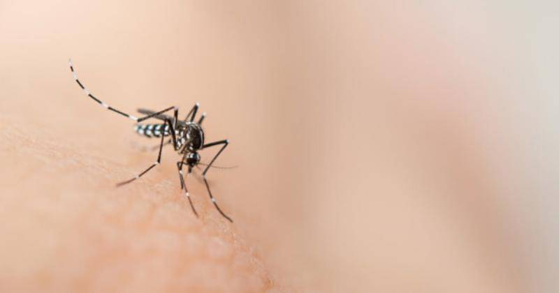 freepik.com/sunnygb5