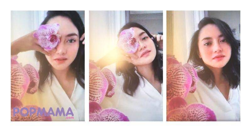 Popmama.com/Michael Andrew