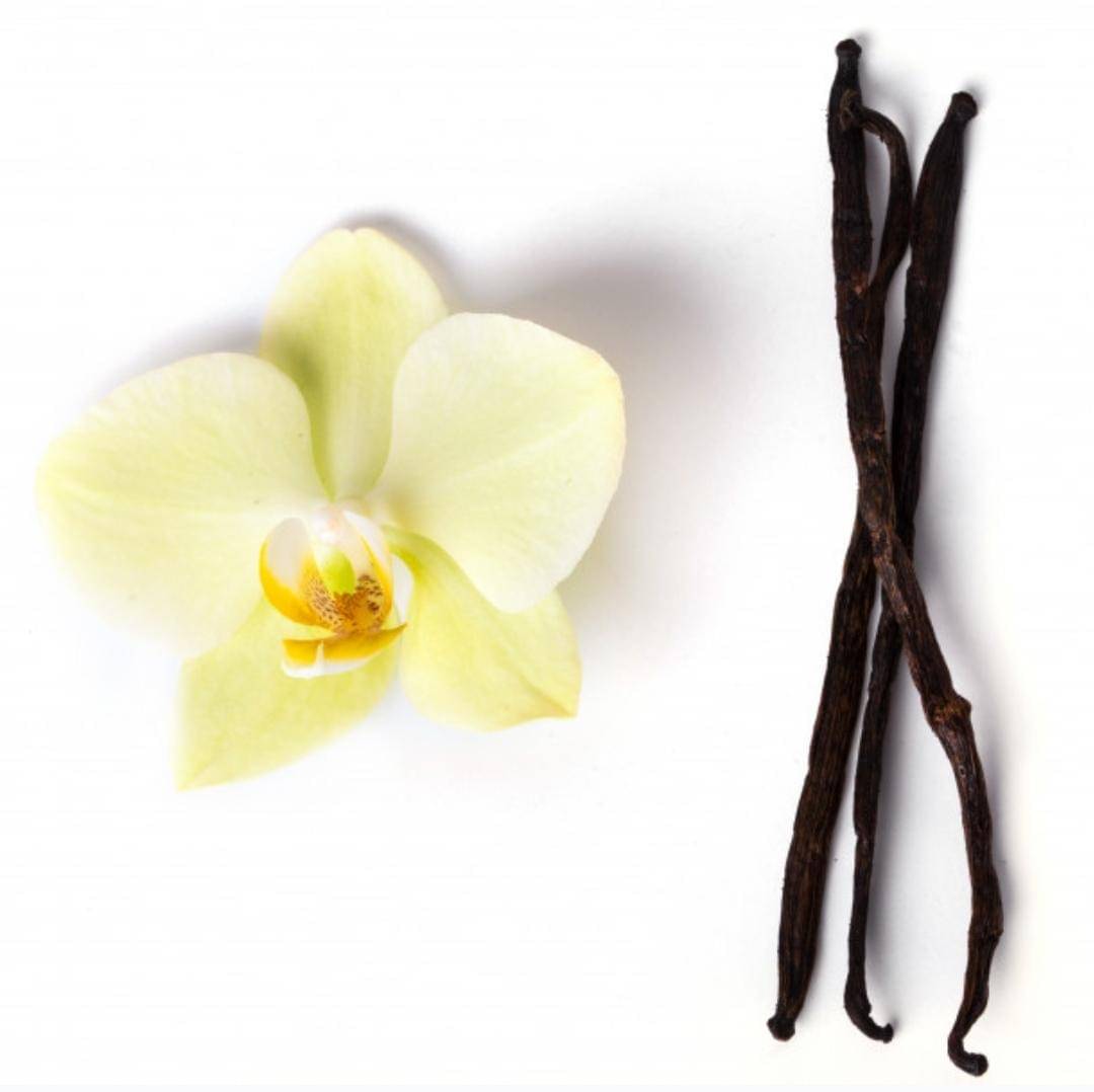 Freepik/Racool_studio