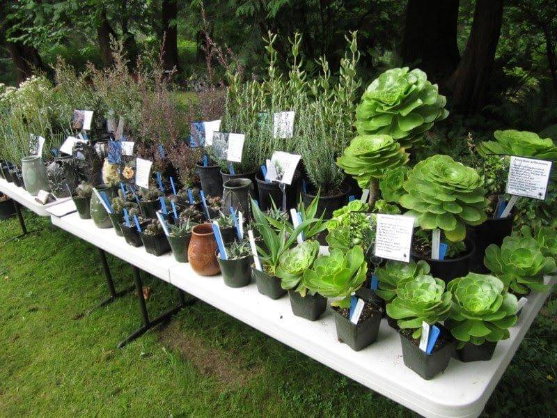 desertnw.wordpress.com