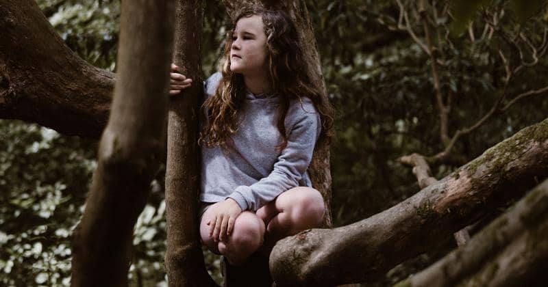 Unsplash/Annie Spratt