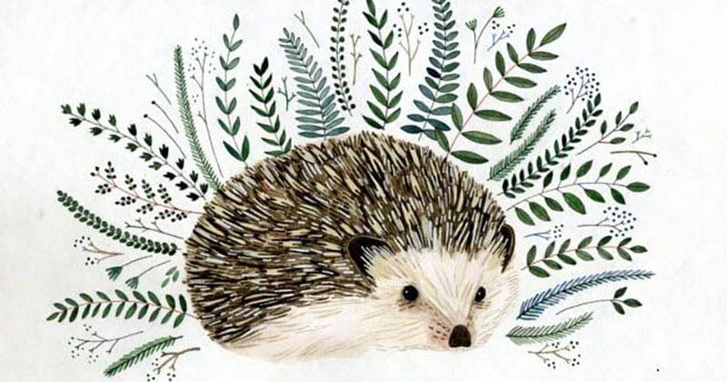 ybryksenkova.blogspot.com