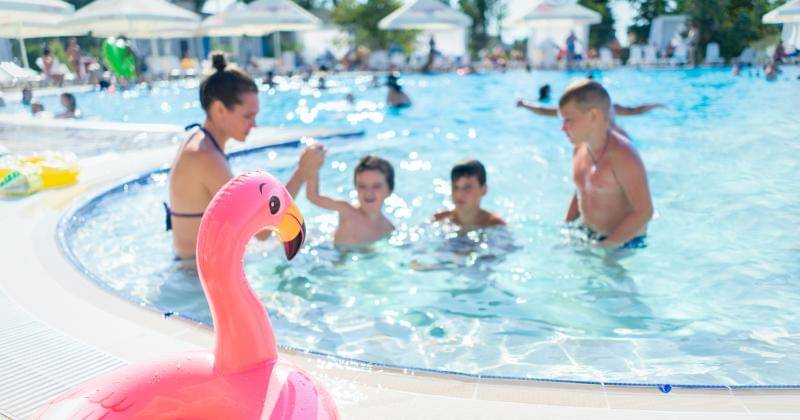 Pexels/VisionPic.net